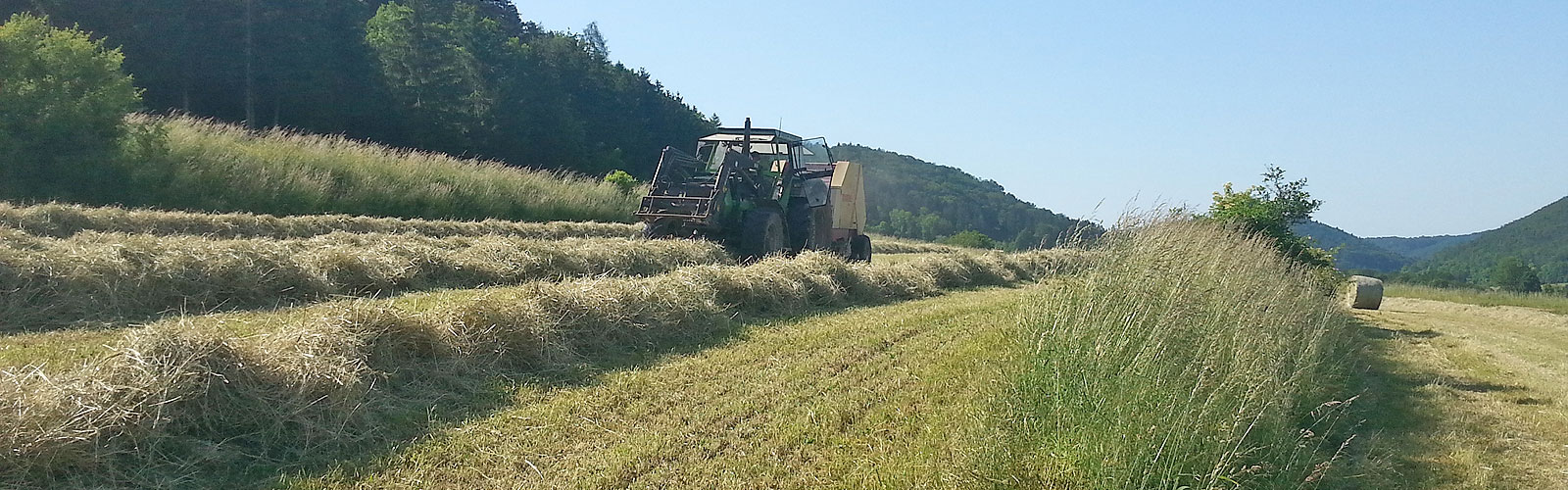 Frisches  Stroh für den Stall