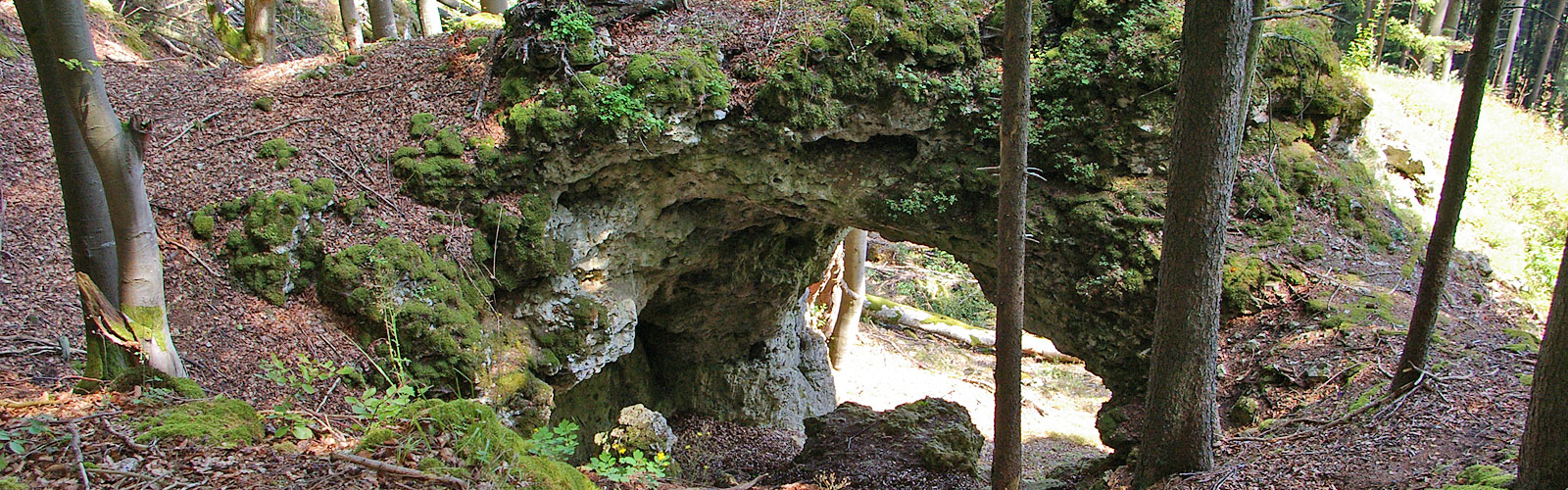 Naturphänomen  Felsentor 